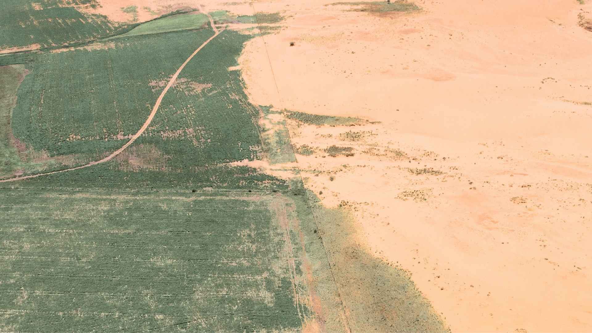 Anti-desertification Programs