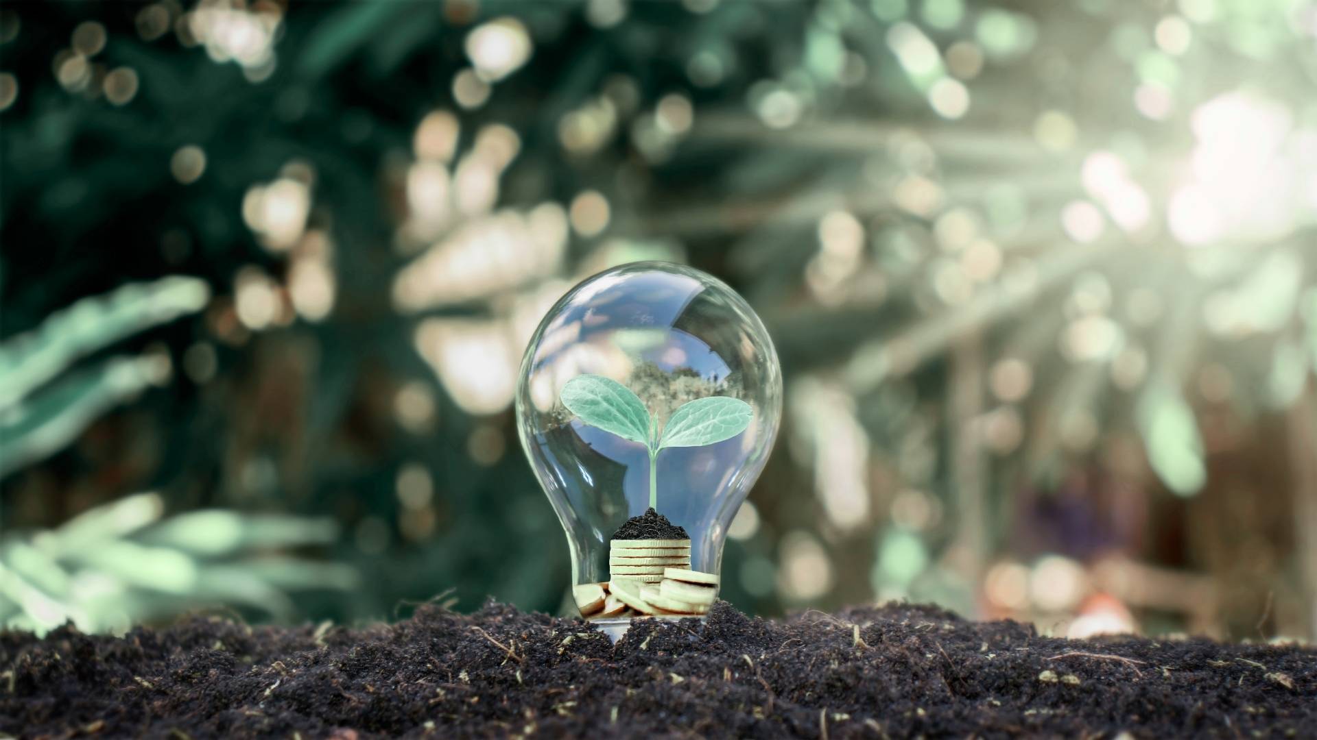 Energy Service