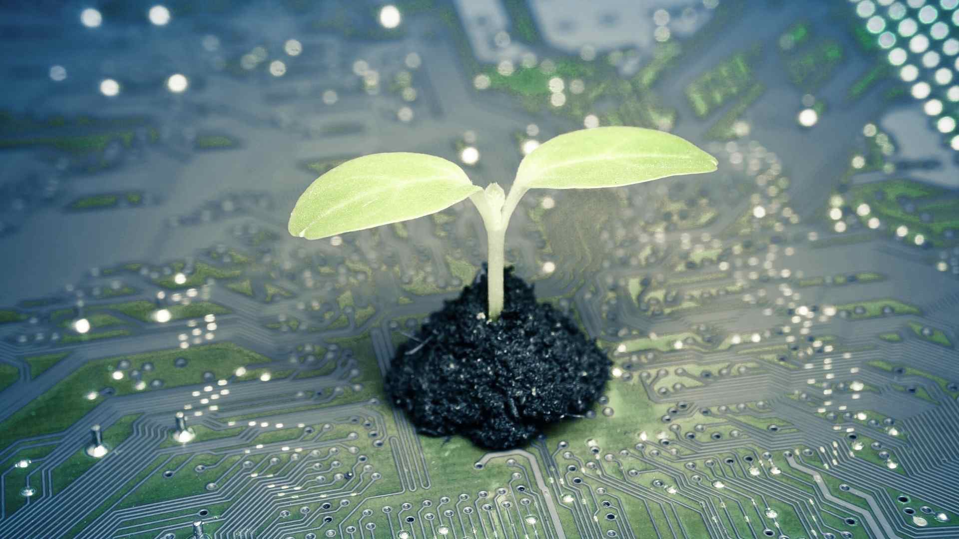 EcoExchange