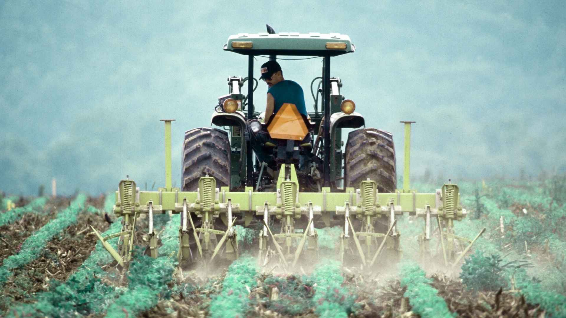 Agricultural Waste