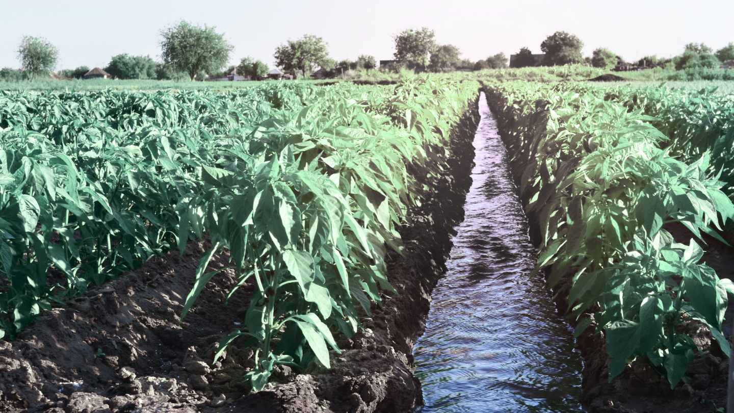Water Conservation