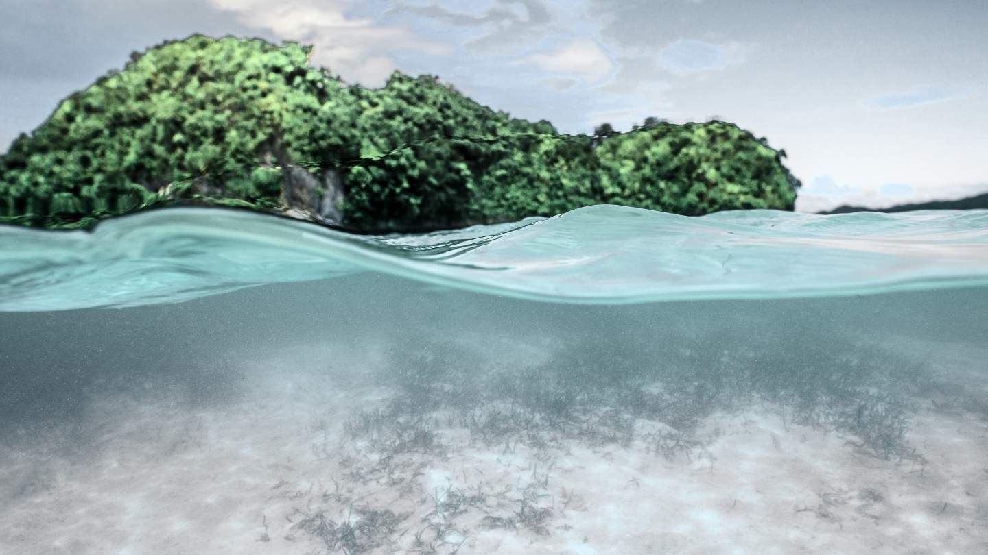 Ocean Cleanup