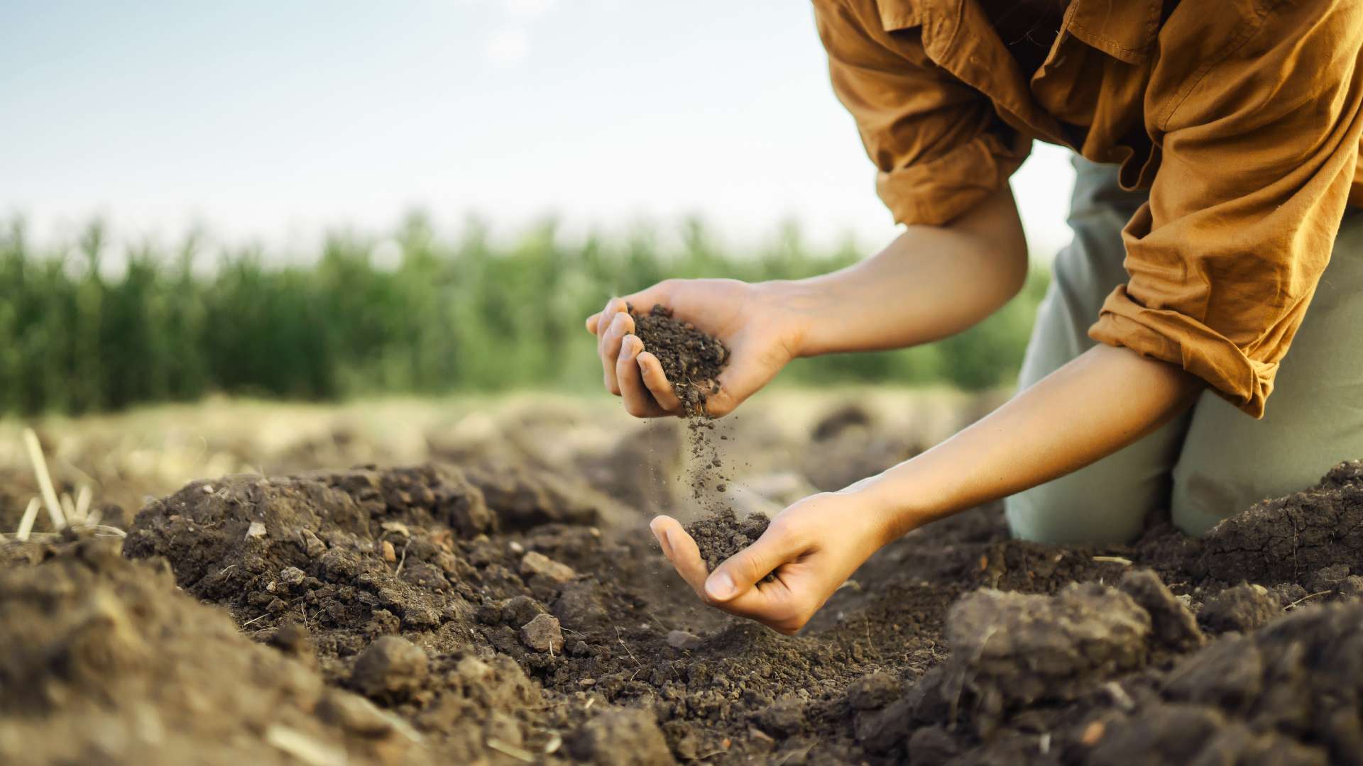 Crop Rotation