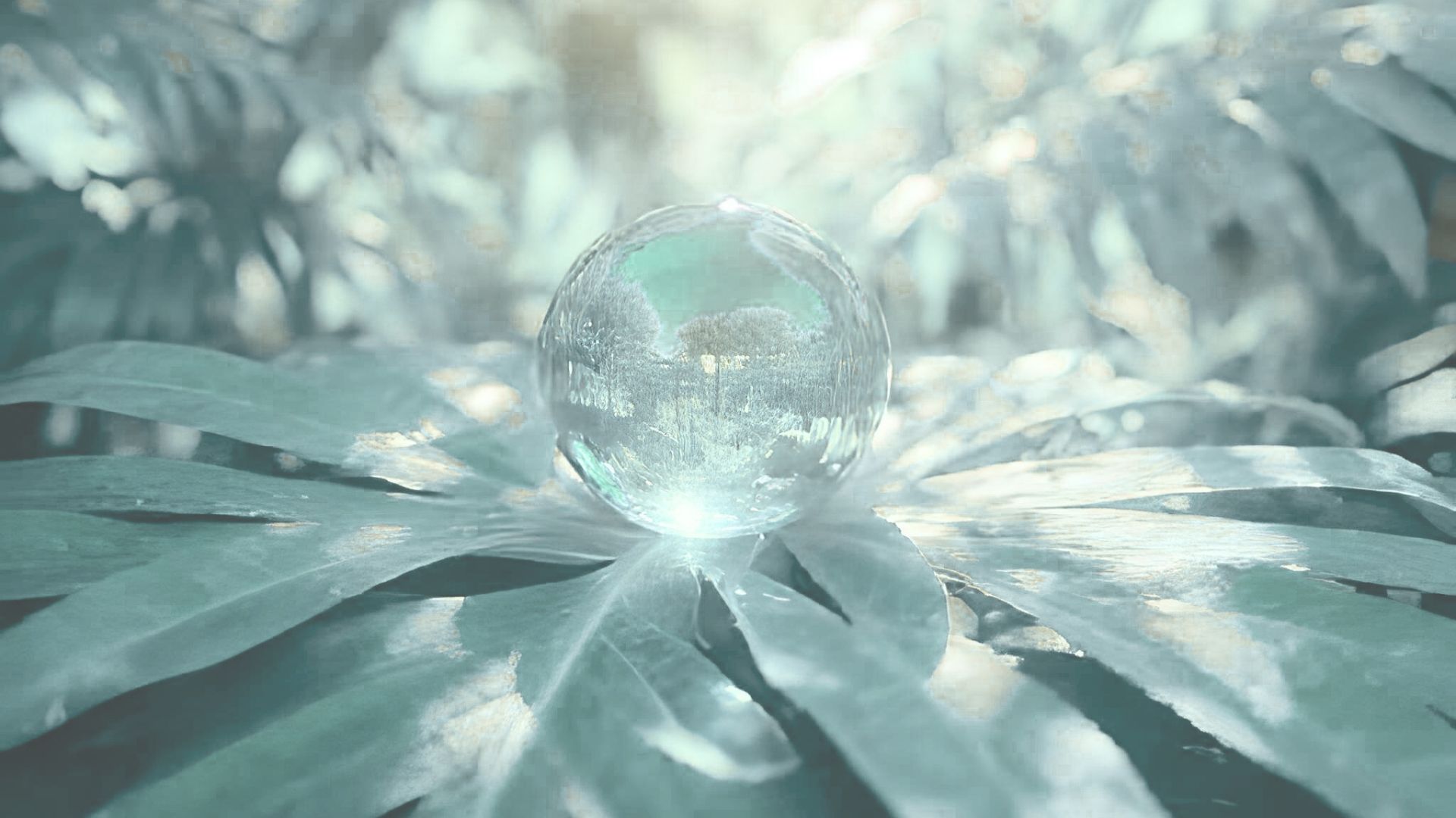 Future Vision